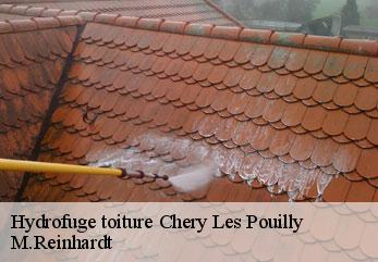 Hydrofuge toiture  chery-les-pouilly-02000 M.Reinhardt