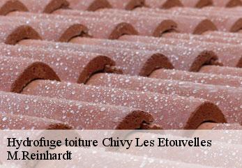 Hydrofuge toiture chivy-les-etouvelles-02000 M.Reinhardt
