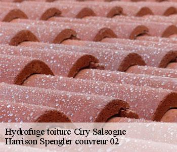 Hydrofuge toiture  ciry-salsogne-02220 Harrison Spengler couvreur 02