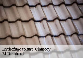Hydrofuge toiture  clamecy-02880 M.Reinhardt