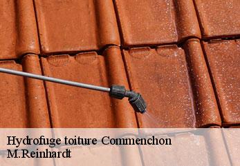 Hydrofuge toiture  commenchon-02300 M.Reinhardt