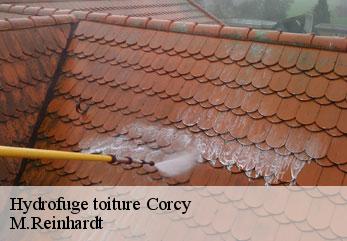 Hydrofuge toiture  corcy-02600 M.Reinhardt