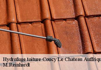 Hydrofuge toiture  coucy-le-chateau-auffrique-02380 M.Reinhardt