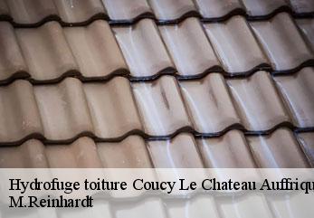 Hydrofuge toiture  coucy-le-chateau-auffrique-02380 M.Reinhardt