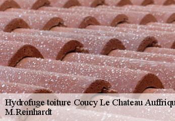 Hydrofuge toiture  coucy-le-chateau-auffrique-02380 M.Reinhardt