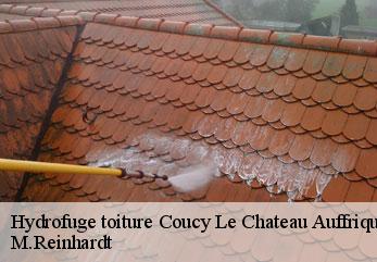 Hydrofuge toiture  coucy-le-chateau-auffrique-02380 M.Reinhardt