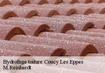 Hydrofuge toiture  coucy-les-eppes-02840 M.Reinhardt