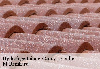 Hydrofuge toiture  coucy-la-ville-02380 M.Reinhardt