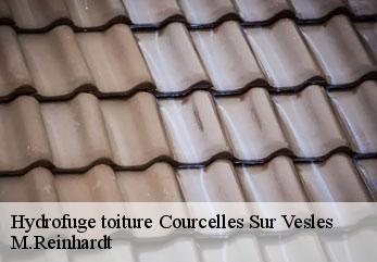 Hydrofuge toiture  courcelles-sur-vesles-02220 M.Reinhardt