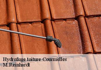 Hydrofuge toiture  courmelles-02200 M.Reinhardt