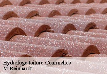 Hydrofuge toiture  courmelles-02200 M.Reinhardt