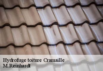 Hydrofuge toiture  cramaille-02130 M.Reinhardt