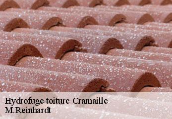 Hydrofuge toiture  cramaille-02130 M.Reinhardt