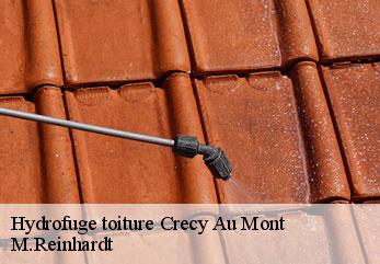 Hydrofuge toiture  crecy-au-mont-02380 M.Reinhardt