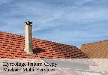 Hydrofuge toiture crepy-02870 Mickael Multi-Services