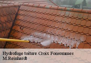 Hydrofuge toiture  croix-fonsommes-02110 M.Reinhardt