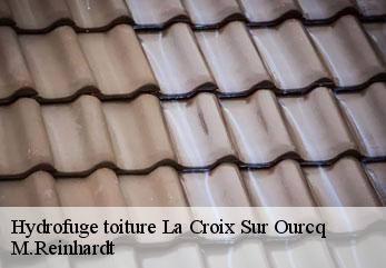 Hydrofuge toiture  la-croix-sur-ourcq-02210 M.Reinhardt