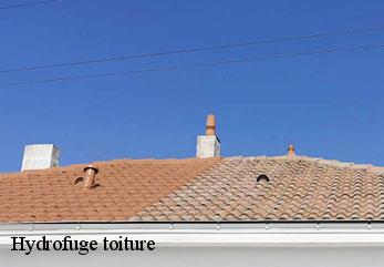 Hydrofuge toiture  la-croix-sur-ourcq-02210 M.Reinhardt