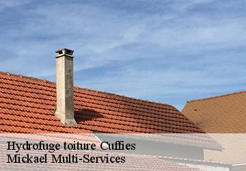 Hydrofuge toiture cuffies-02880 Mickael Multi-Services