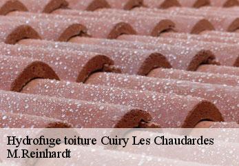 Hydrofuge toiture cuiry-les-chaudardes-02160 M.Reinhardt