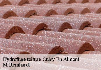 Hydrofuge toiture  cuisy-en-almont-02200 M.Reinhardt