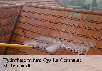 Hydrofuge toiture cys-la-commune-02220 M.Reinhardt