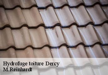 Hydrofuge toiture  dercy-02270 M.Reinhardt