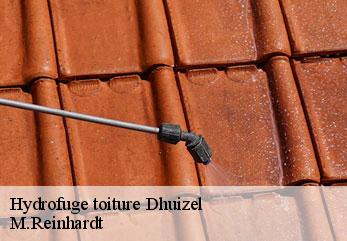 Hydrofuge toiture  dhuizel-02220 M.Reinhardt