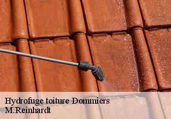 Hydrofuge toiture  dommiers-02600 M.Reinhardt