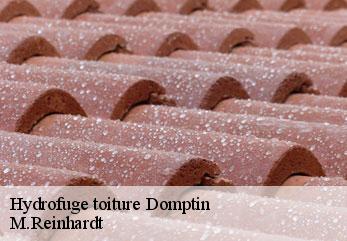 Hydrofuge toiture  domptin-02310 M.Reinhardt