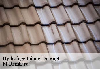 Hydrofuge toiture dorengt-02450 M.Reinhardt