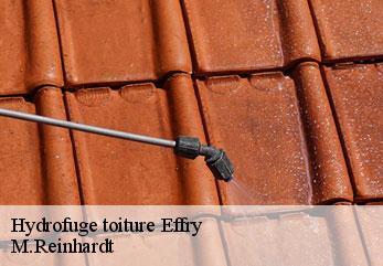 Hydrofuge toiture  effry-02500 M.Reinhardt