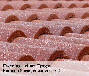Hydrofuge toiture  epagny-02290 Harrison Spengler couvreur 02