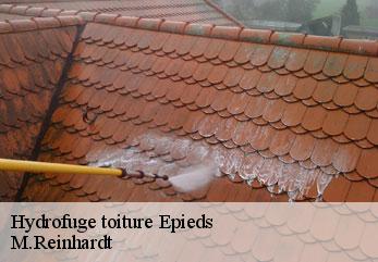 Hydrofuge toiture  epieds-02400 M.Reinhardt