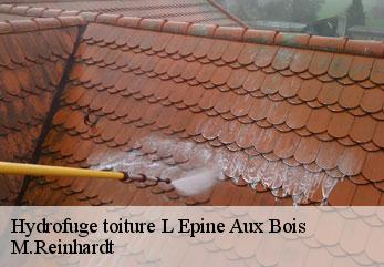 Hydrofuge toiture  l-epine-aux-bois-02540 M.Reinhardt