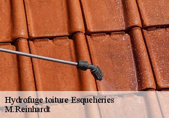 Hydrofuge toiture  esqueheries-02170 M.Reinhardt