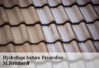 Hydrofuge toiture  faverolles-02600 M.Reinhardt