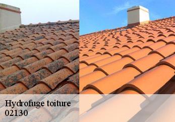 Hydrofuge toiture  fere-en-tardenois-02130 M.Reinhardt