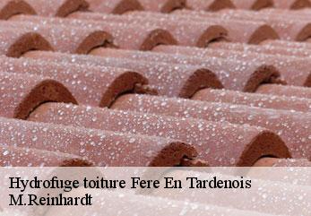 Hydrofuge toiture  fere-en-tardenois-02130 M.Reinhardt