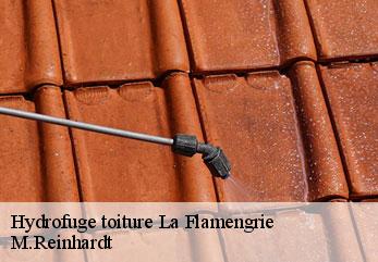 Hydrofuge toiture  la-flamengrie-02260 M.Reinhardt