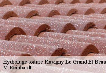 Hydrofuge toiture  flavigny-le-grand-et-beaurain-02120 M.Reinhardt