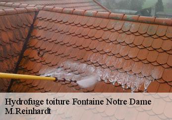 Hydrofuge toiture  fontaine-notre-dame-02110 M.Reinhardt
