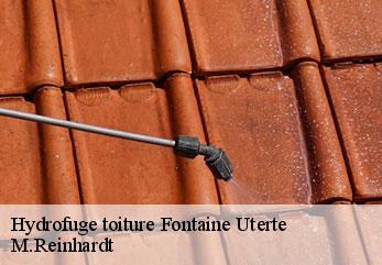 Hydrofuge toiture fontaine-uterte-02110 M.Reinhardt