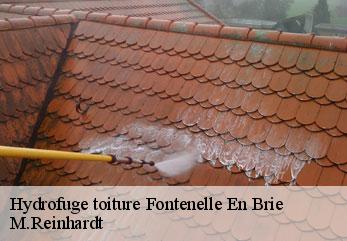 Hydrofuge toiture fontenelle-en-brie-02540 M.Reinhardt