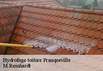 Hydrofuge toiture  franqueville-02140 M.Reinhardt