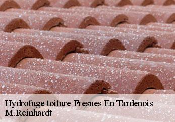 Hydrofuge toiture fresnes-en-tardenois-02130 M.Reinhardt