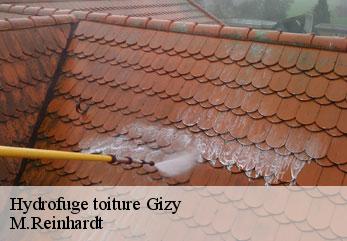 Hydrofuge toiture  gizy-02350 M.Reinhardt