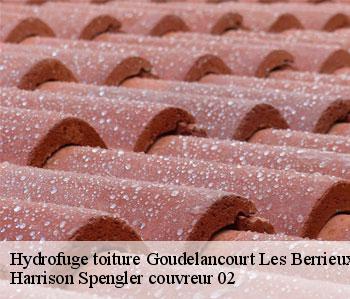 Hydrofuge toiture  goudelancourt-les-berrieux-02820 Harrison Spengler couvreur 02