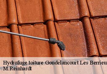 Hydrofuge toiture  goudelancourt-les-berrieux-02820 M.Reinhardt