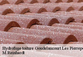 Hydrofuge toiture  goudelancourt-les-pierrepont-02350 M.Reinhardt